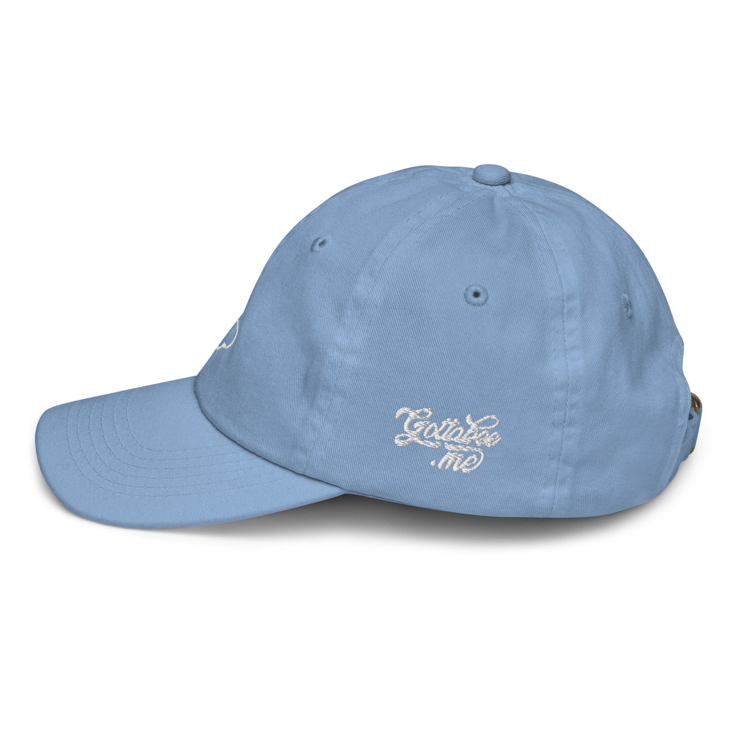 Queen Bee Icon - Youth baseball cap